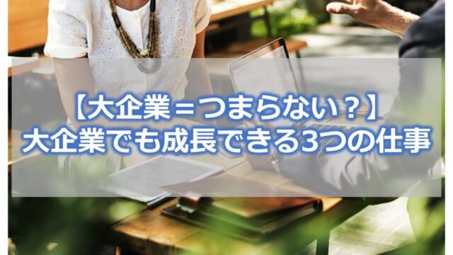 【大企業＝つまらない？】大企業でも成長できる3つの仕事