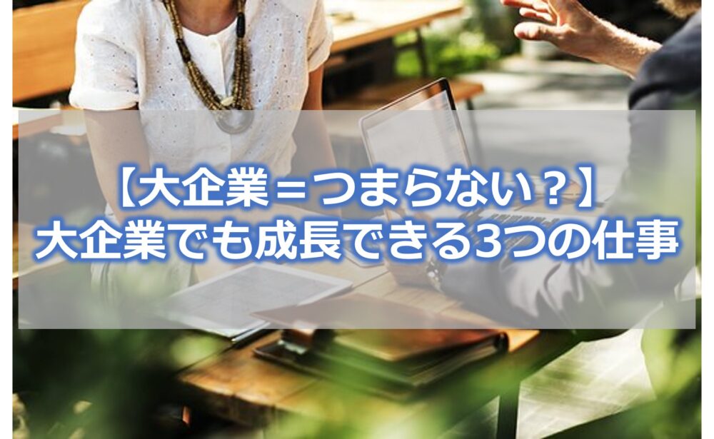 【大企業＝つまらない？】大企業でも成長できる3つの仕事